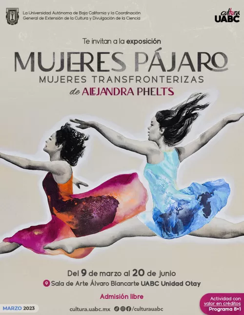 Exposición Mujeres Pájaro: Mujeres Transfronterizas de Alejandra Phelts