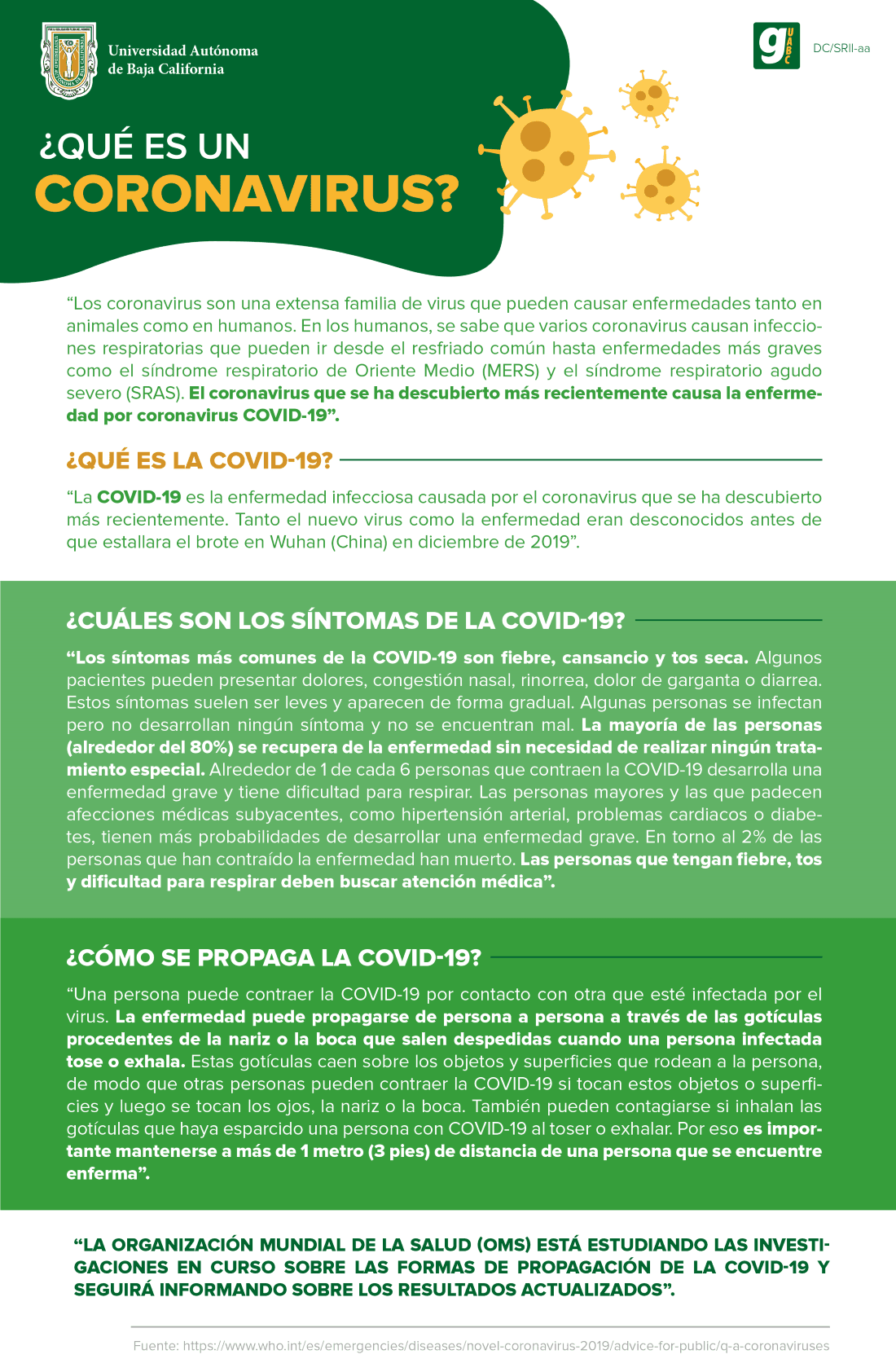 Qué es un coronavirus