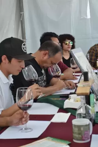 Degustaciones_Vino_Gastronomía_Enología
