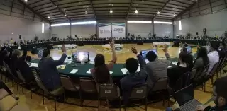 consejo universitario 1